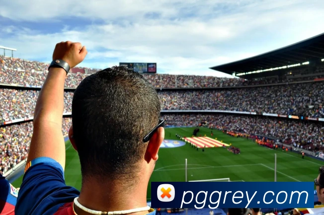 pg电子APP 封面图